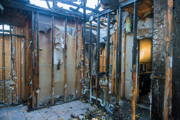 Professional Fire Damage Removal technician working in Brandon, FL