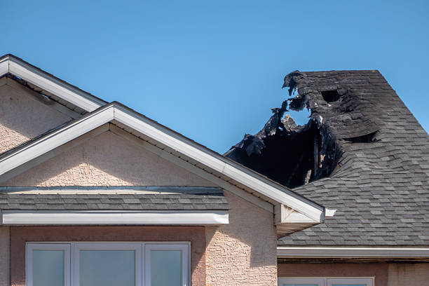 Top rated local Fire Damage Removal specialists in Brandon, FL